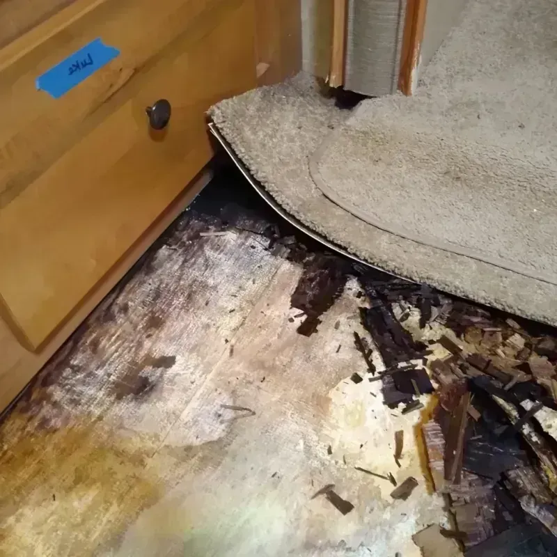 Best Wood Floor Water Damage Service in Wexford County, MI